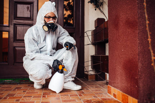 Reliable Wasp Removal contractor in Navy, VA by Show Me Pest Control