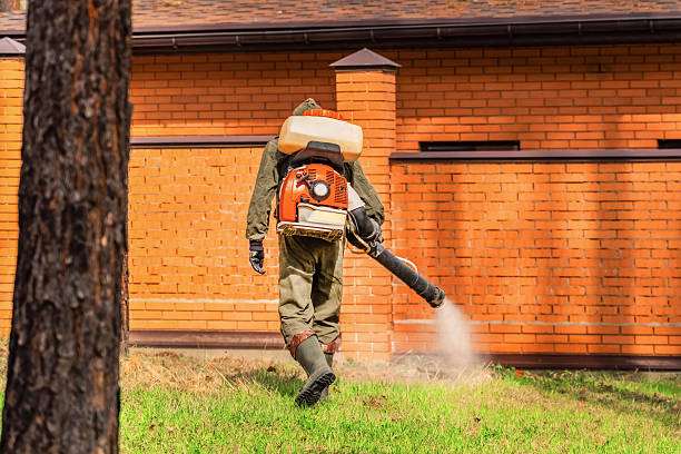 Top rated local Wasp Removal specialists in Navy, VA